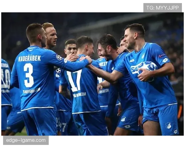 霍芬海姆战术革新显成效，新阵容助推球队状态强势回暖